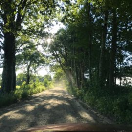 Newsletter Autumn 2017 Newsletter Autumn 2017