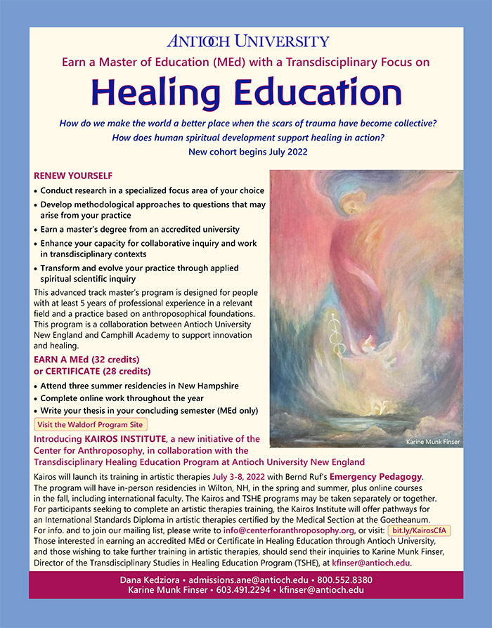 Image of the Healing Education Flier - TSHE program